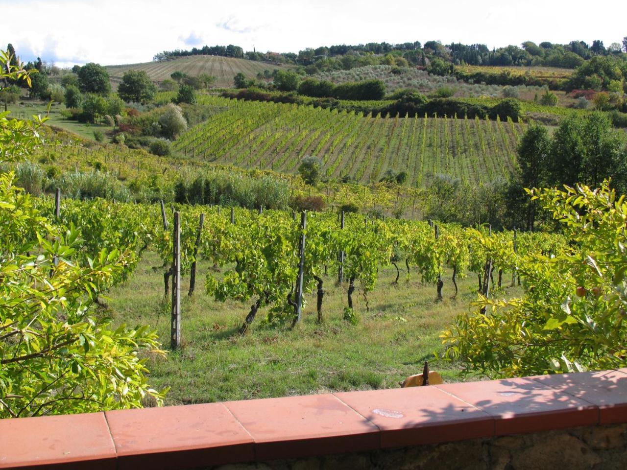 Piccolo Sole Villa Montescudaio Exterior foto